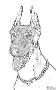 Dobermann Coloriages À Imprimer